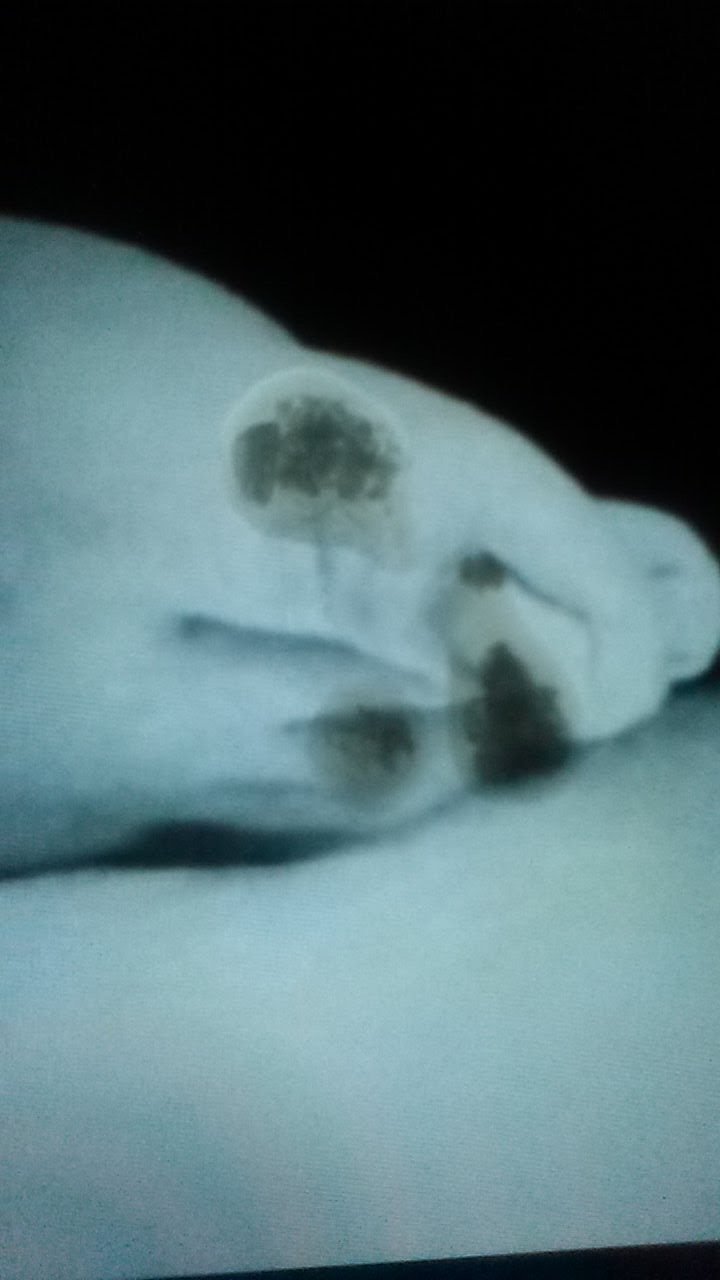 McZoZ2Gq Emma Watson Cum Tributes 08.jpg